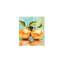 Glamour Disco Ball Fruit orange toile sur toile de qualité supérieure 24 x 18 pouces