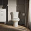 Wellworth™ 1.6 GPF Round Two-Piece Toilet (Seat Not Included)-10397126-101431819