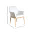Palma Patio Dining Armchair with Cushion