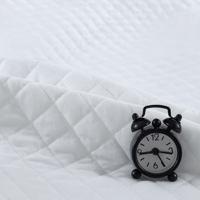 Solid Color 3-Piece Quilt Set with Cotton Blend Shell & 100% Cotton Fill – Lightweight, Soft, All Season Bedding, White