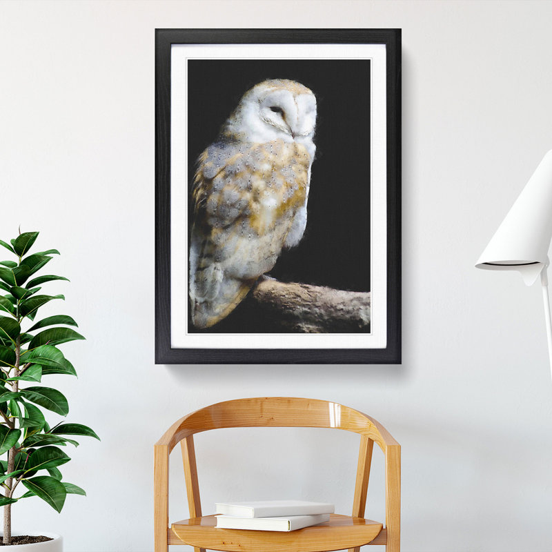 Barn Owl Vol.3 - Picture Frame Painting, 36cm H x 27cm W x 2cm D, Black Framed