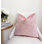 Housse de coussin en velours à imprimé animal