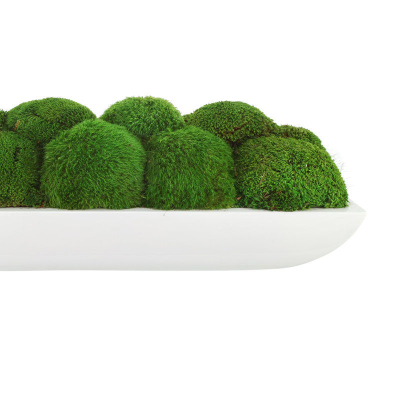 Moss Preserved in Oblong Planter, 7" H x 19.5" W x 10.5" D