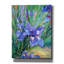 "Iris" par Richard Wallich-1980401129