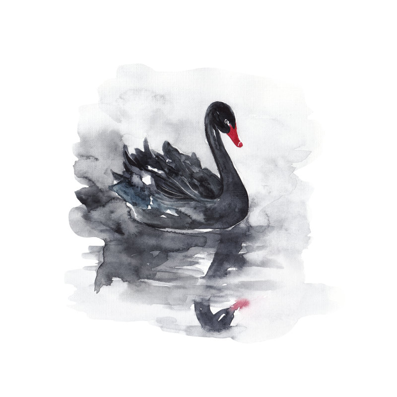 Fode cygne noir sur toile, H 12 po x l 12 po