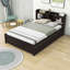 Halvorsen Full Size Wood Platform Bed with Twin Size Trundle and Storage-318649410