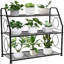 Plant Stand - Set of 5