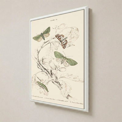 Mariposas I par V. Larkspar - Impression sur toile