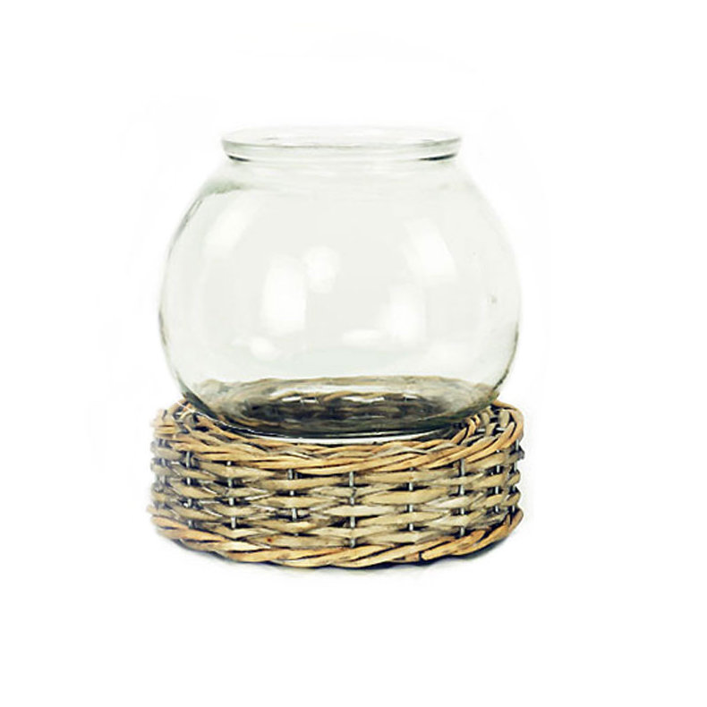Terrarium à mèche et à verre Blevens, H 7,5 po x l 7 po x P 7 po