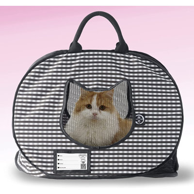 Dannielyn Plastic Pet Carrier