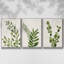 Botanical Wash I 3 pièces-97758415-97758416