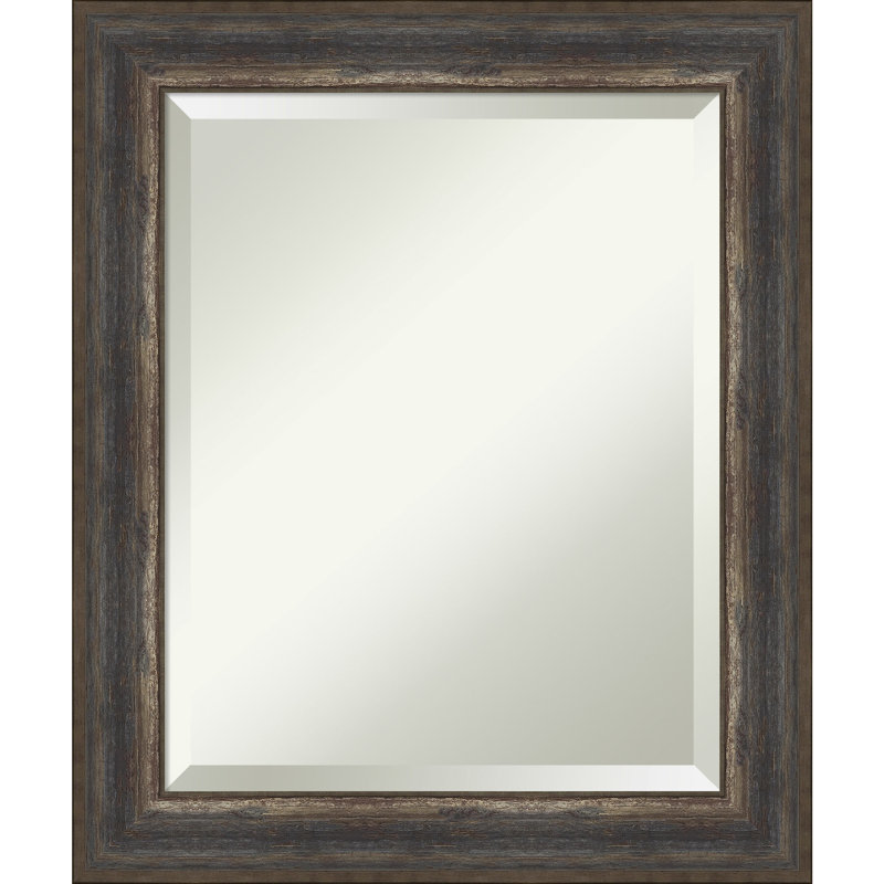 Alta Rustic Char Bronze Framed Wall Mirror