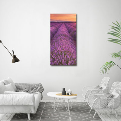Lavender Field - Wrapped Canvas Print