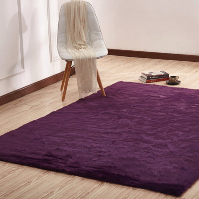 Indoor Rug