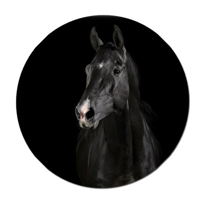 Black Horse Face Print