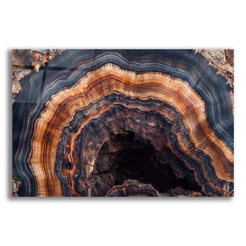 Art mural en verre acrylique épique «Petrified Tree Trunk» par Rich Monet, 24 po x 16 po, H 16 po x l 24 po