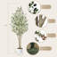 80cm Tree