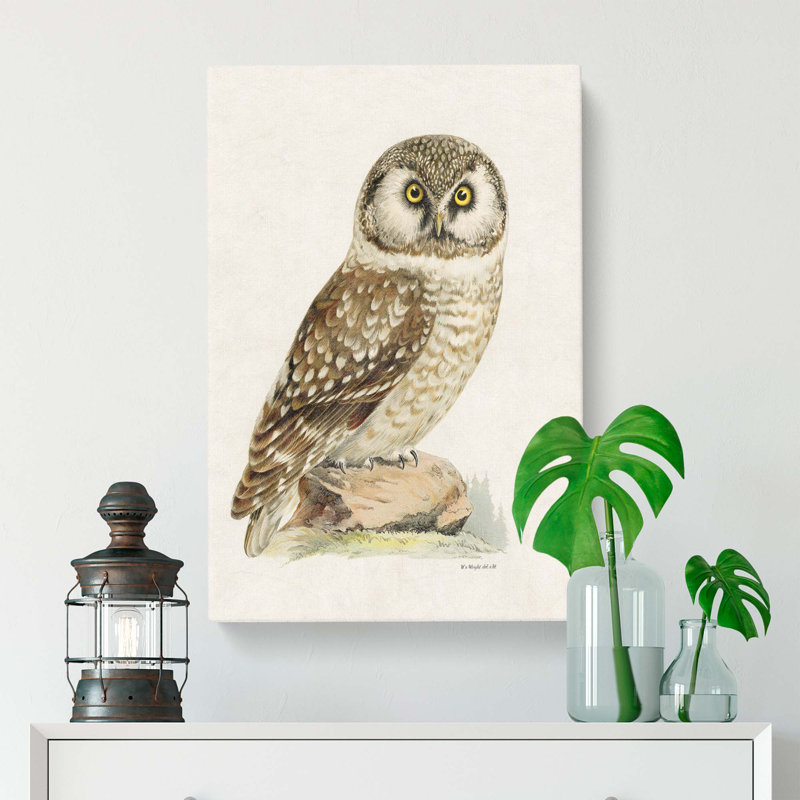 Boreal Owl by Von Wright - Wrapped Canvas Painting, 76cm H x 50cm W x 3cm D
