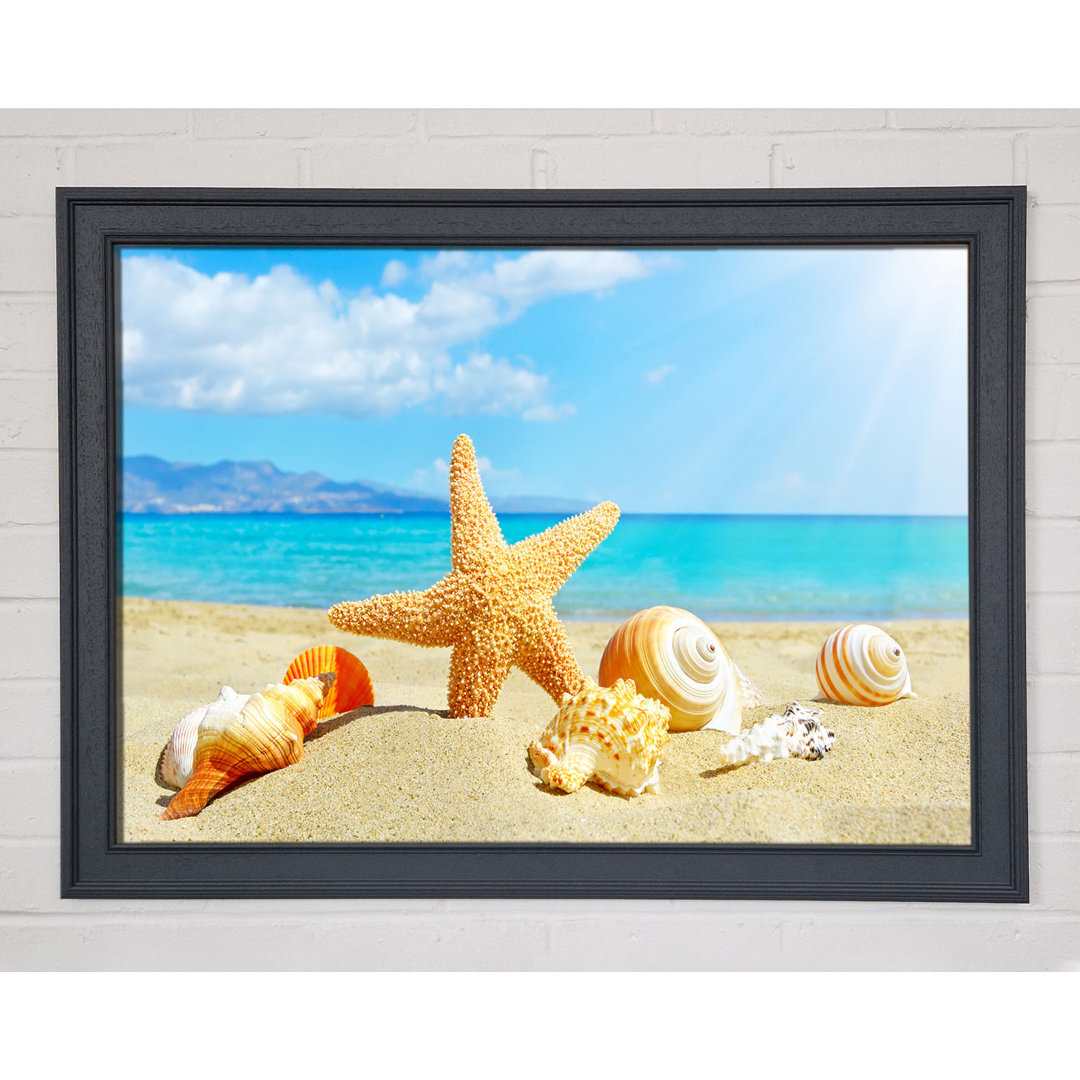 Gerahmter Fotodruck Starfish Standing In The Sand