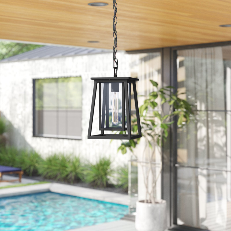Lanterne suspendue d'extérieur noir mat à 1 lumière H 13,25 po Dunphy Natale