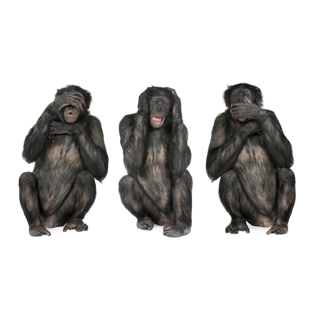 Strukturierte Fototapete Three Wise Monkeys 2,55 m x 384 cm