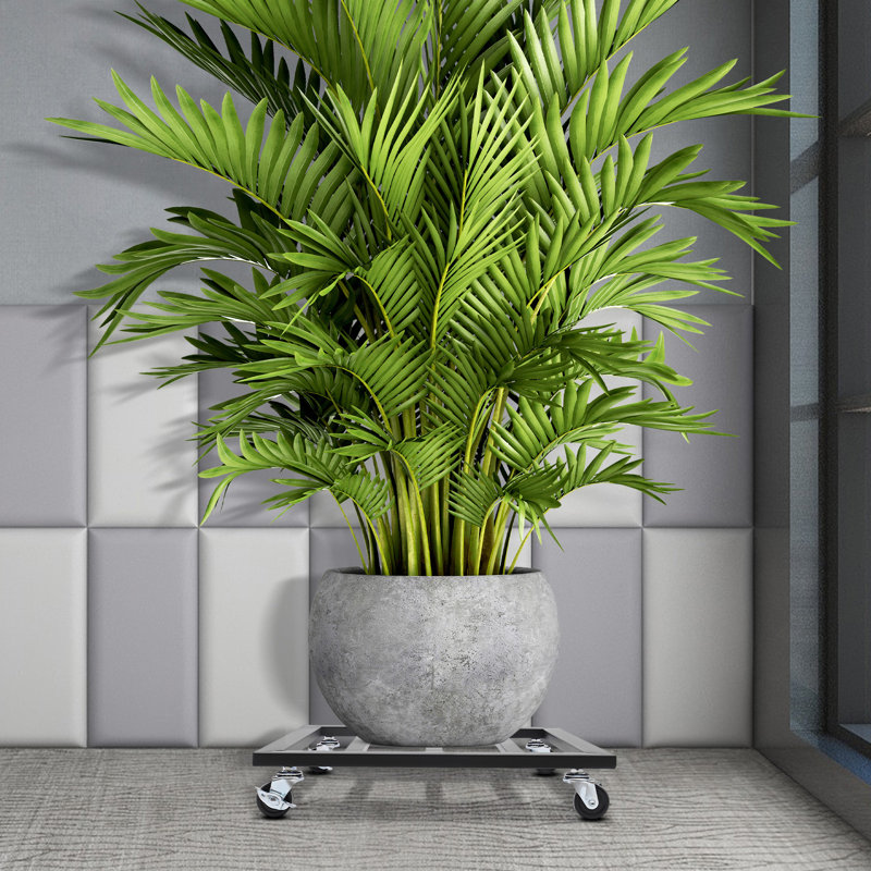 Support pour plante Quintavia, Noir, H 3,15 po x L 16 po x P 16 po