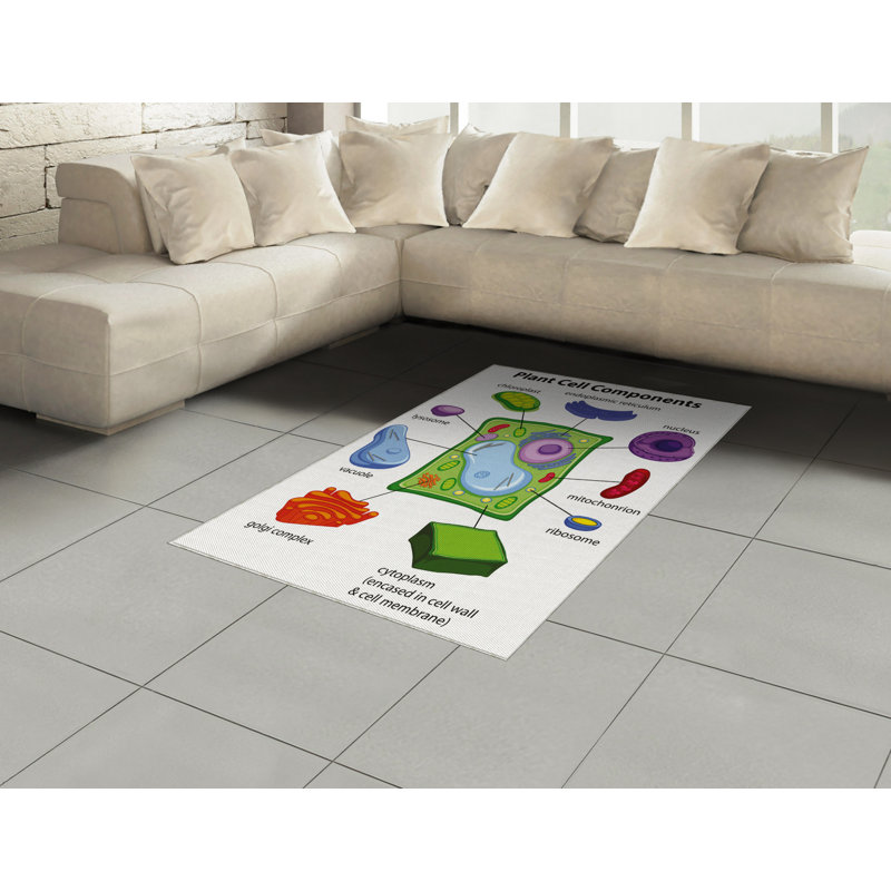 Tapis décoratif à longues fibres en fibres à haute densité Science, Rectangle 2 pi 7 po x 5 pi