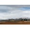 «Alamosa Late March Crop» par Pamela Munger - peinture sur toile tendue