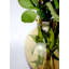 Ardene Handmade Glass Table Vase