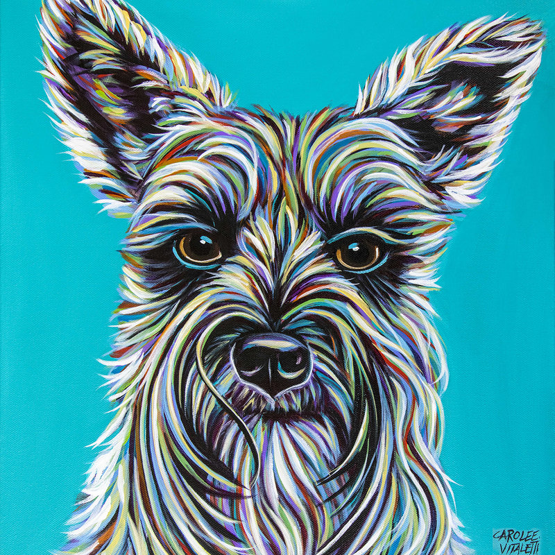 Schnauzer coloré, H 12 po x l 12 po x P 1,25 po