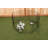 Lucky Dog Exercise Pens-11941706