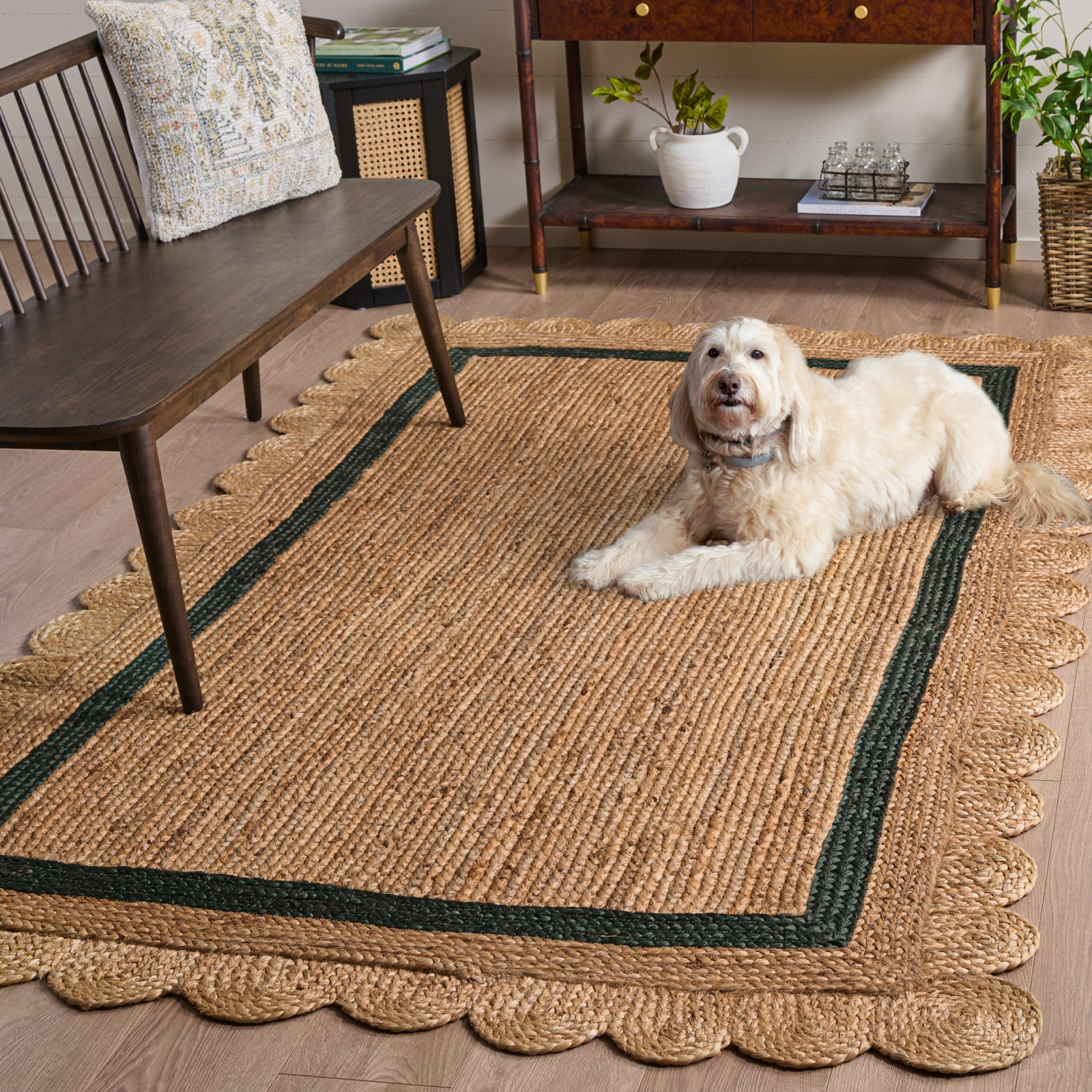 Inkai Jute/Sisal Area Rug, Rectangle 4' x 6'