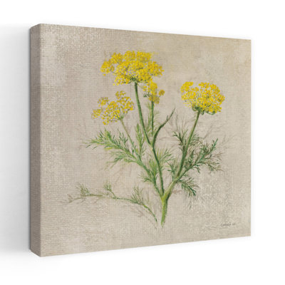 Contemporary Dill With Cream Dill Art