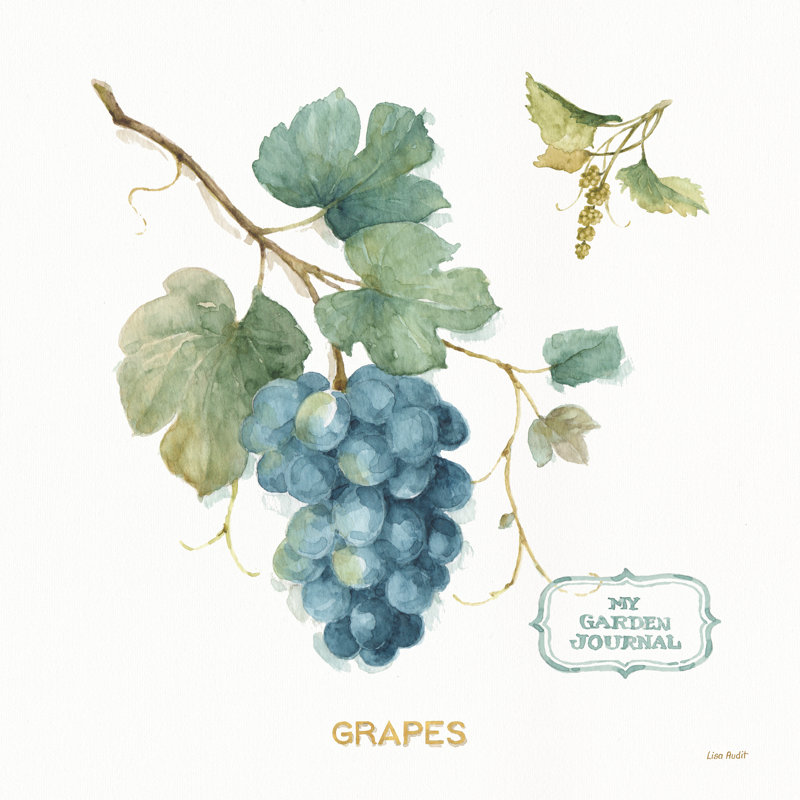 «My Greenhouse Fruit III» par Lisa Audit, reproduction d'art sur toile non encadrée, H 36 po x l 36 po