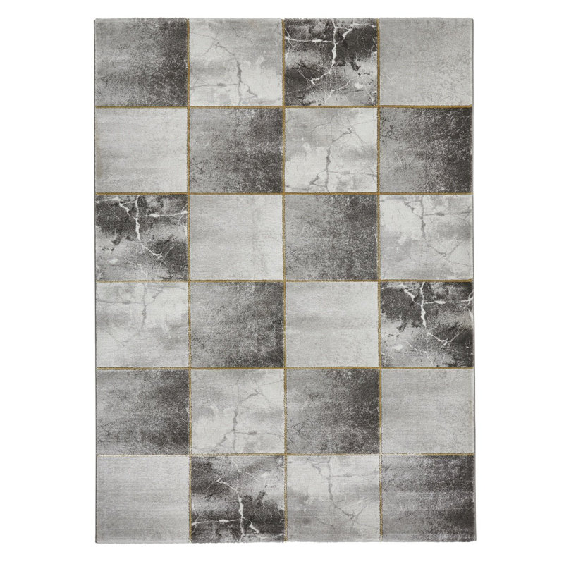 Amerion area rug Machine Woven Rectangle Grey/Gold, Rectangle 120 x 170cm