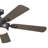 60'' Ceiling Fan with LED Lights-361292367
