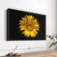 Tournesol sur toile noire-1062566642