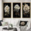 «Retro White Rose Portrait On Black», 3 pièces-1963084626-1963084637