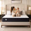 Ellum Memory Foam Spring Mattress-51335505