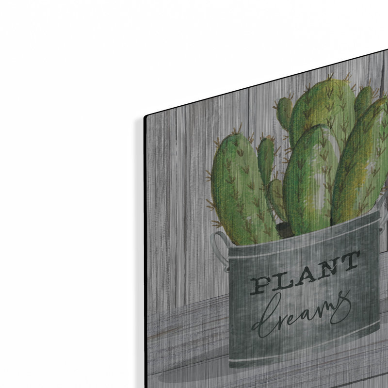 «Galvanized Pot Succulents I» par Cindy Jacobs, H 12 po x l 36 po