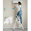 Steel Extension Ladder
