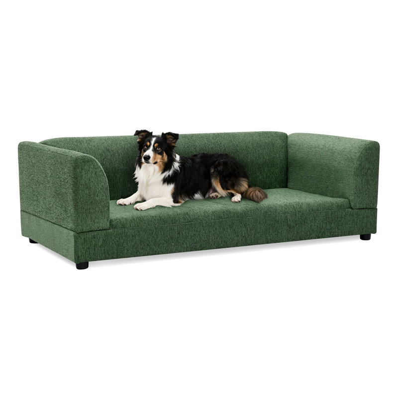 Olive confortable et surdimensionné pour chiens de taille moyenne et grande - Coussin moelleux, rectangulaire, moderne, 56,5 po x 26 po x 17 po