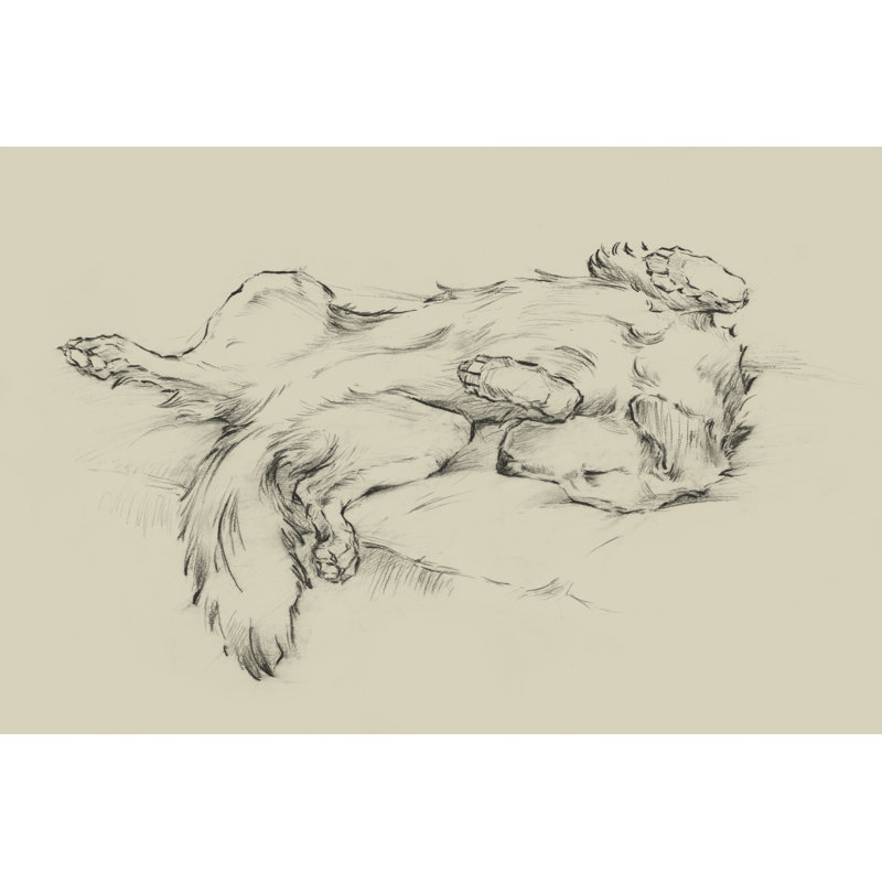 Chien fatigué II, H 20 po x l 30 po x P 1,25 po