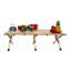 Table de pique-nique portable