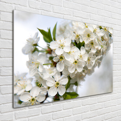 Cherry Blossoms - Unframed Art Prints on Glass
