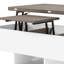 Afeez Lift Top Coffee Table with Storage，Extendable Coffee Table Centre Table for Living Room-1458707191-1458707190