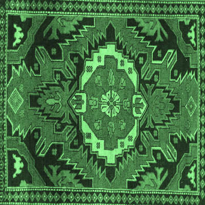 Amreeta Performance Oriental Indoor Rug