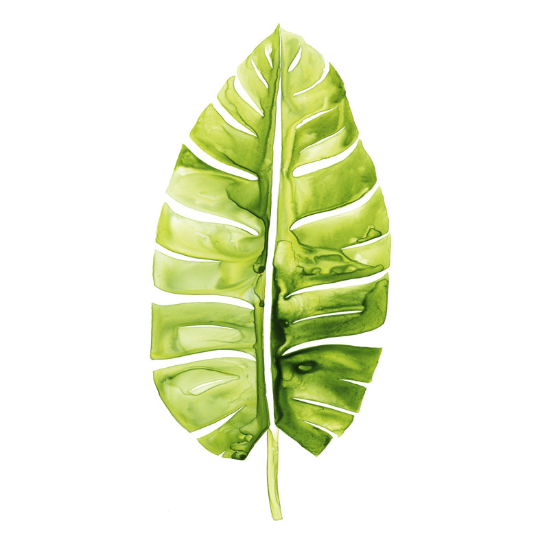 Banana Leaf Study II by Grace Popp - Wrapped Canvas Print, 46cm H x 30cm W