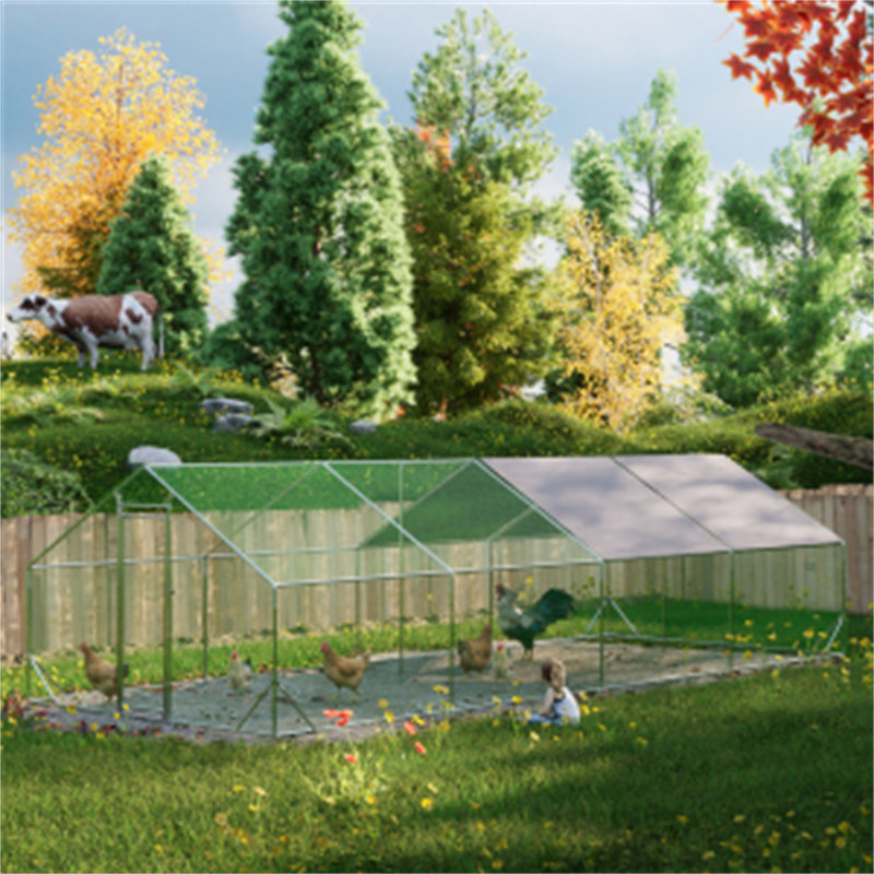 Grand poulailler en métal, H 78,72 po x l 120 po x P 312 po