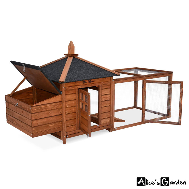 Jodie Chicken Coop with Chicken Run